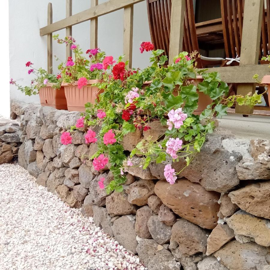Casa Di Campagna Galtellì Екстериор снимка